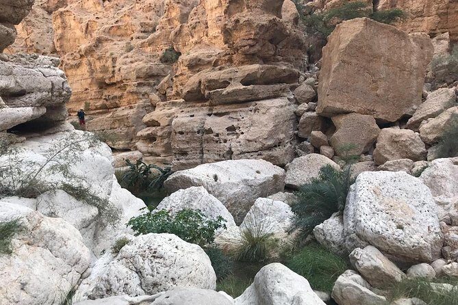 Private Day Trip to Wadi Shab & Bimmah Sinkhole Price Up To 5 Persons - Price and value: $400 per group up to 5
