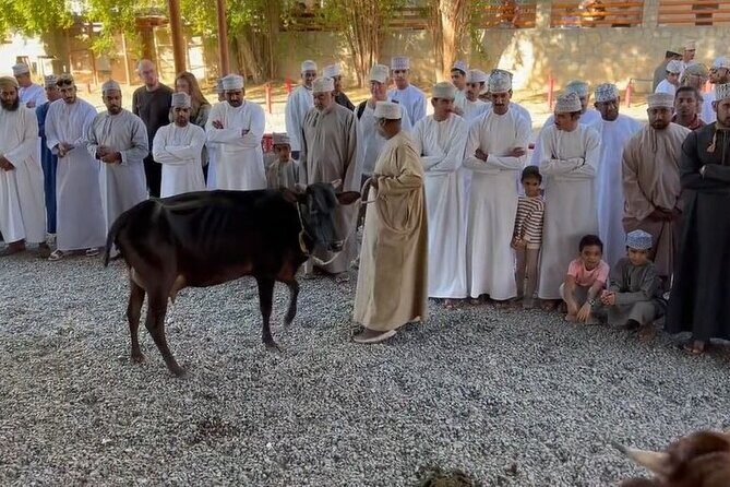 Private Friday Cattle Market-Nizwa and Jebel Akhdar-Full-Day Tour - Quick takeaways before you go