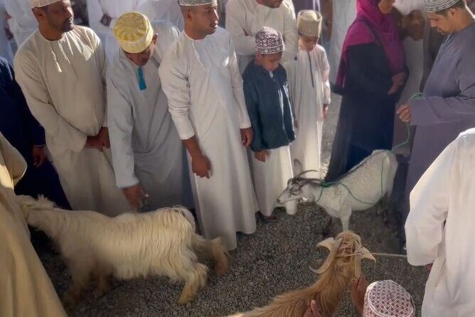 Private Friday Cattle Market-Nizwa and Jebel Akhdar-Full-Day Tour - Nizwa Souq After the Market: Jewelry, Pottery, Fish, and More