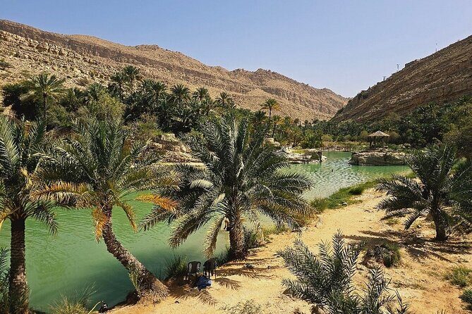Private Full Day Private Desert Safari Tour - Camel Ride: A Fun Extra, Not a Given