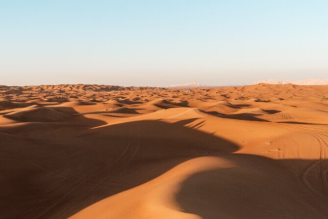 Private Full Day Tour to Wahiba Sands Desert and Wadi Hawer - Pickup, private timing, and what “8 hours including travel” really means