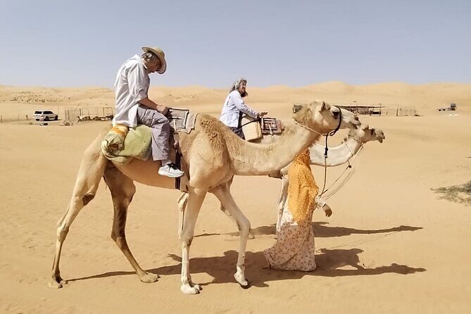 Private Full Day Tour to Wahiba Sands Desert and Wadi Hawer - Should you book this Wahiba Sands and Wadi Hawr tour?