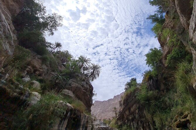 Private Full-Day Wadi Tiwi and Bimmah Sinkhole Tour from Muscat - The value of a private 4WD Muscat pickup