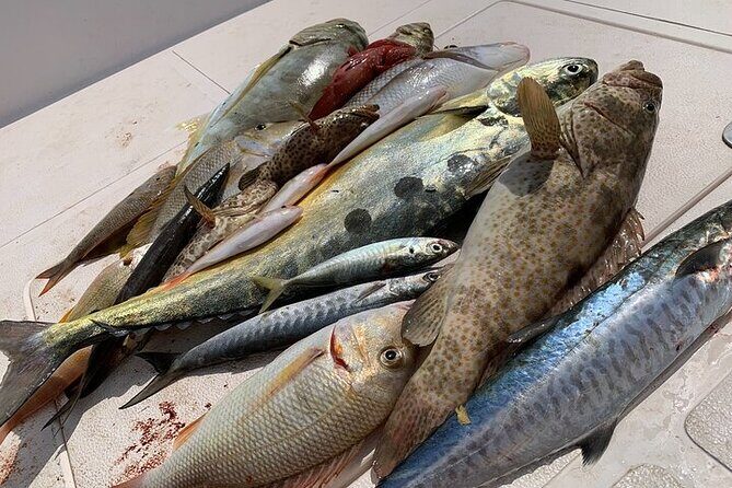 Private Game Fishing Trip with Sightseeing in Muscat - Timing, weather, and what a 4-hour trip feels like