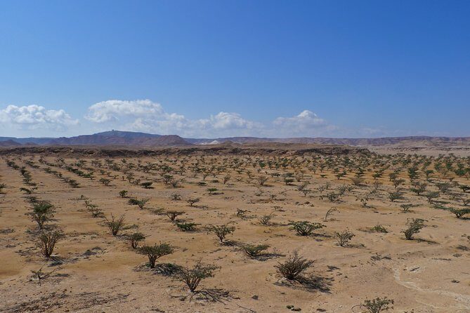Private tour - Empty Quarter desert adventure - Wadi Dawka + Ubar - A private Empty Quarter day from Salalah