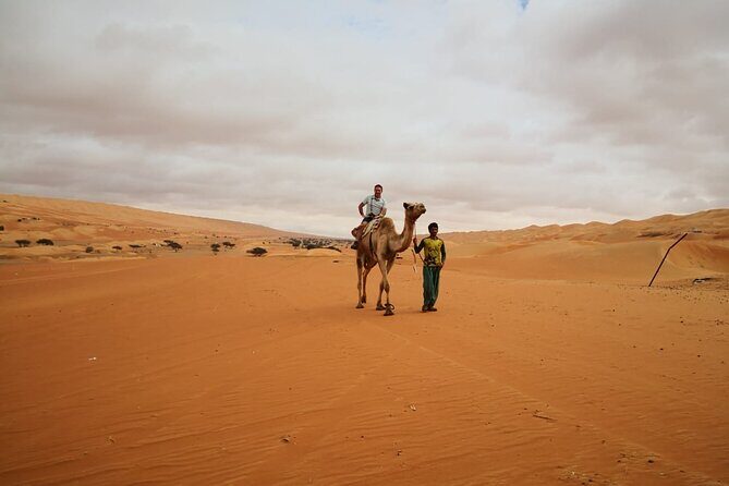 Private Transfer from Muscat to Wahiba Sand Desert by 4WD Vehicle - Pricing and Value: Is $140 Per Person Fair?