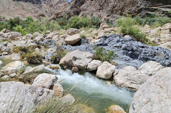 Private Wadi Arbyeen - Sinkhole - White Sand Beach- Full Day Tour - Who This Tour Fits Best (And Who Should Skip It)