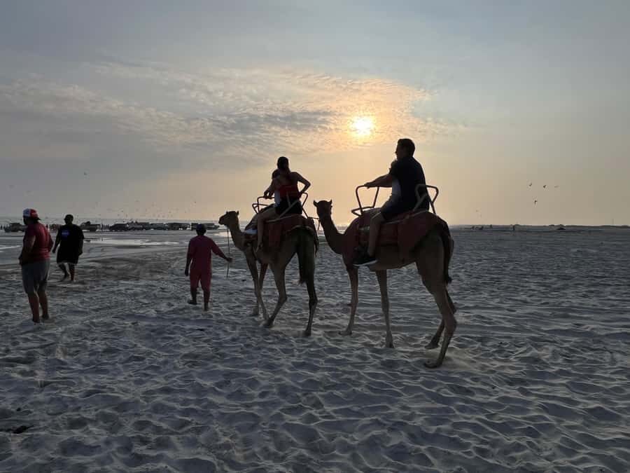 Salalah: Camel Riding on the Beach - How the Beach Ride Works: 30 Minutes vs 1 Hour
