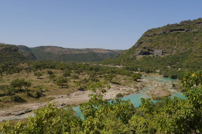 Salalah City and East Tour Combo (Darbat falls, Razat spring) - Al Hosn Palace: Quick gate photos and garden glimpses