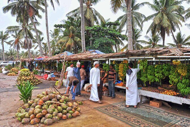 Salalah City Tour: Discover Salalahs Treasures with a Local Guide - Salalah in 4–5 hours with a local guide (and pickup)