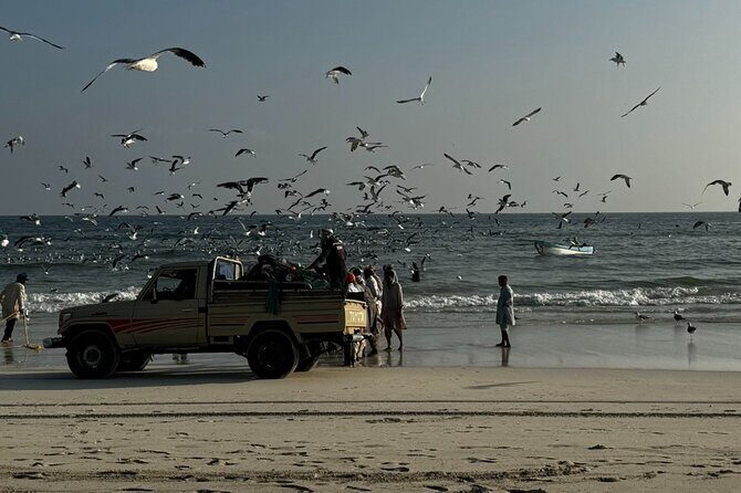 Salalah City Tour: Discover Salalahs Treasures with a Local Guide - Dahariz/Coconut Beach (Hafa Beach): golden sand and flamingos