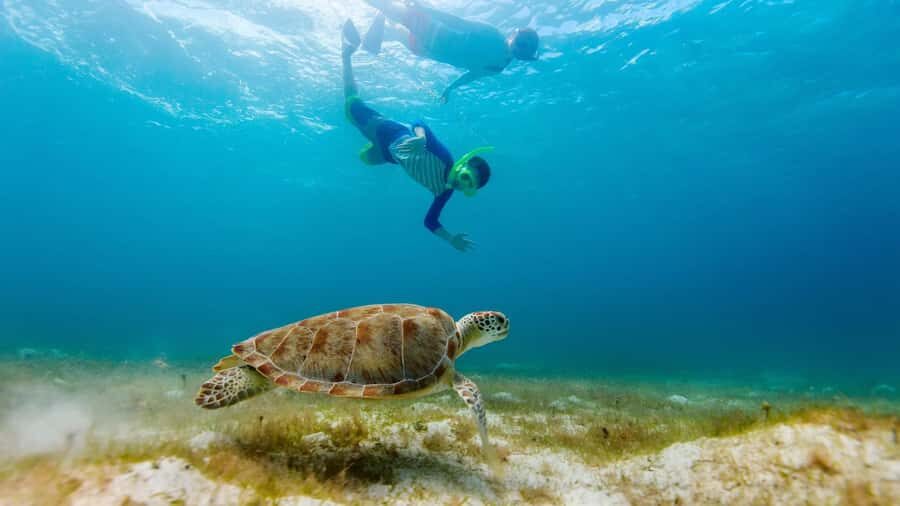 Salalah: Discover Mirbat's Snorkeling Paradise Guided Tour - Key things to know before you go