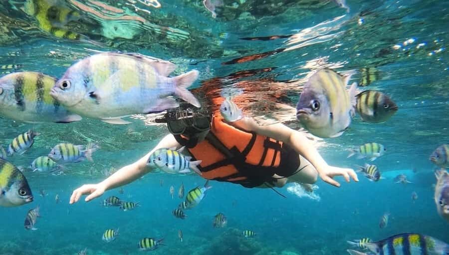 Salalah: Discover Mirbat's Snorkeling Paradise Guided Tour - Where Mirbat Snorkeling fits in a Salalah plan