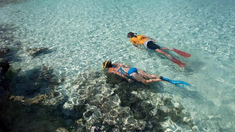 Salalah: Discover Mirbat's Snorkeling Paradise Guided Tour - Should you book Mirbat’s Snorkeling Paradise?