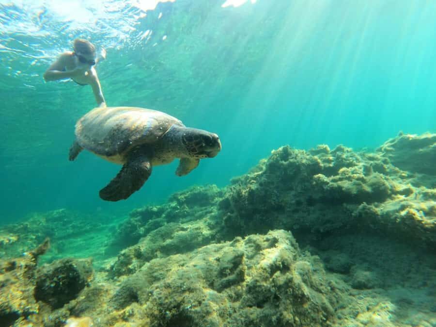 Salalah: Discover Mirbat's Snorkeling Paradise Guided Tour - Pickup and getting to the water from Salalah