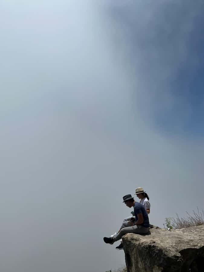 Salalah East Adventure: Waterfalls, Mountain & Safari - Baobab Trees (أشجار التبلدي): mystery you can actually see