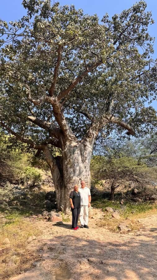 Salalah East Tour: Taqah , Darbat waterfall,camel's baobab - The in-between scenic stops: sinkholes, camels, and baobabs