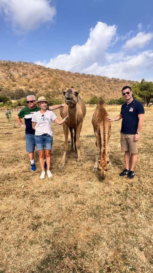 Salalah East Tour: Taqah , Darbat waterfall,camel's baobab - Taqah: a breather from pure mountain scenery