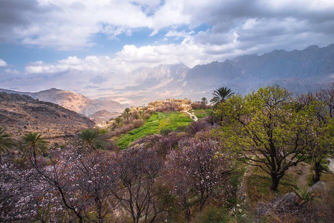 Salalah East & West Combination(Salalah tours):Oman Shore excursions - Stop by stop: Taqah and the start of the story