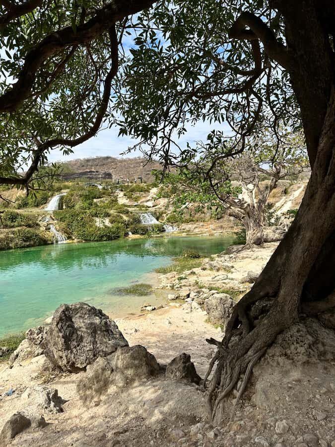 Salalah: Half-Day Guided Tour to Wadi Darbat & Mount Samhan - From Salalah Pickup to a Half-Day Nature Circuit
