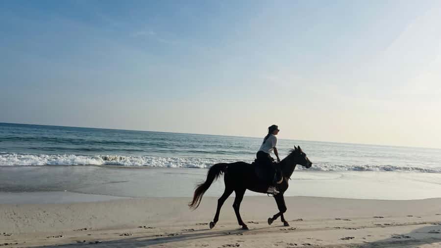 Salalah: Horse Riding by the Beach - Sunset Beach Horse Riding in Salalah: What It Feels Like