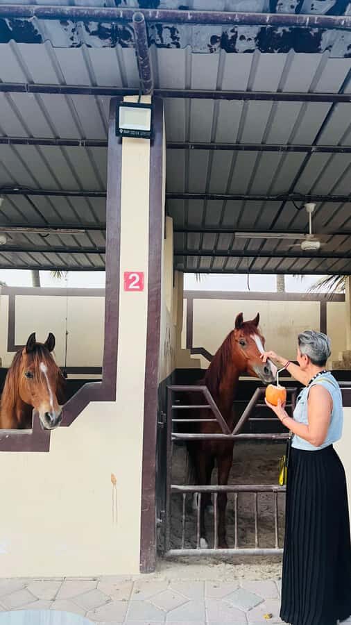 Salalah: Horse Riding by the Beach - Small Group Up to 4: Why This Matters More Than You Think