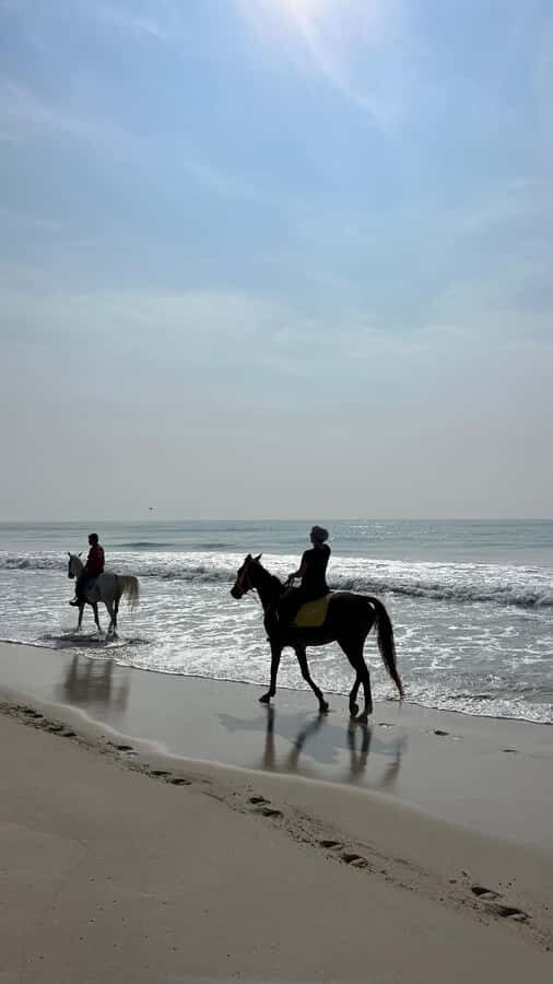 Salalah: Horse Riding by the Beach - Price and Value: Is $108 Worth a Sunset Ride?