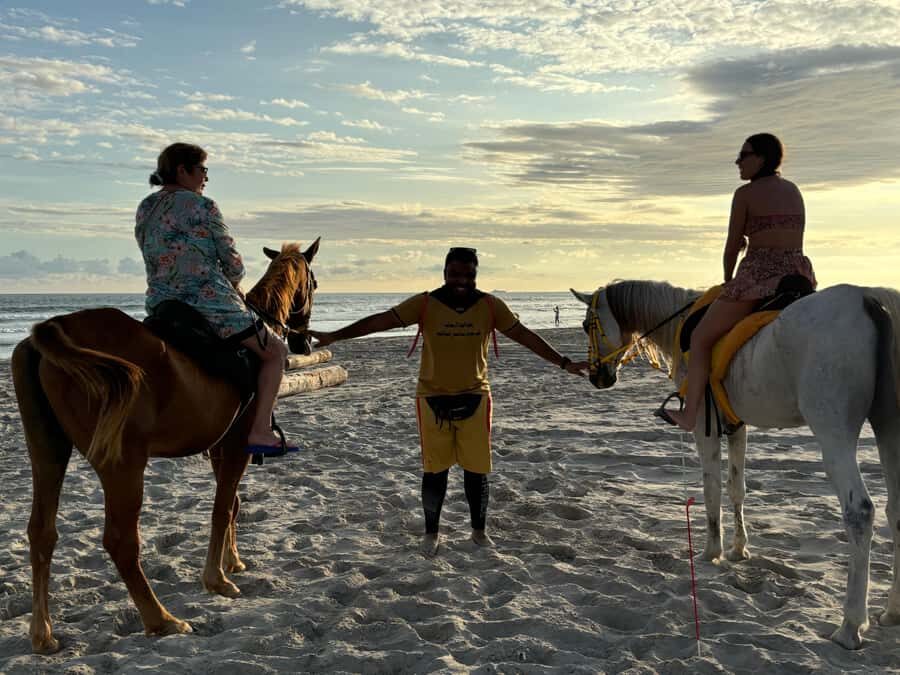 Salalah Horse Riding on the Beach optional Hotel Pick & Drop - Key things to know before you go