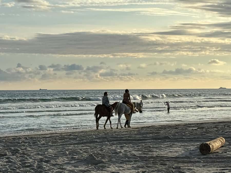 Salalah Horse Riding on the Beach optional Hotel Pick & Drop - What the Ride Feels Like Along the Salalah Shore