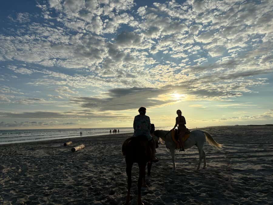 Salalah Horse Riding on the Beach optional Hotel Pick & Drop - Hotel Pick-Up and Drop-Off: Worth It for Family Convenience