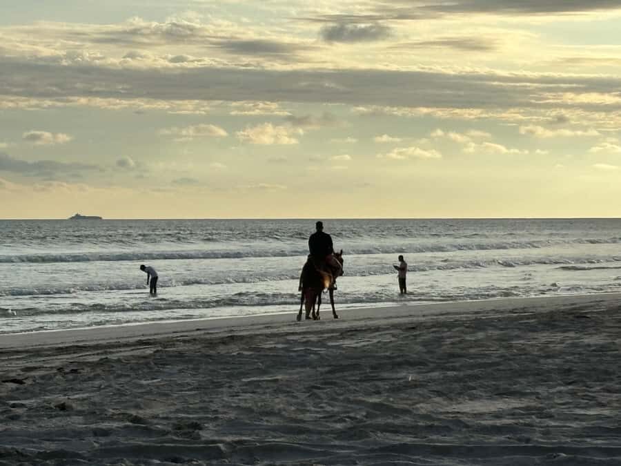 Salalah Horse Riding on the Beach optional Hotel Pick & Drop - Price and Value: Does $36 Make Sense?
