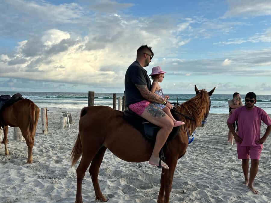 Salalah Horse Riding on the Beach optional Hotel Pick & Drop - Picking 30 Minutes or 1 Hour: What That Changes for You