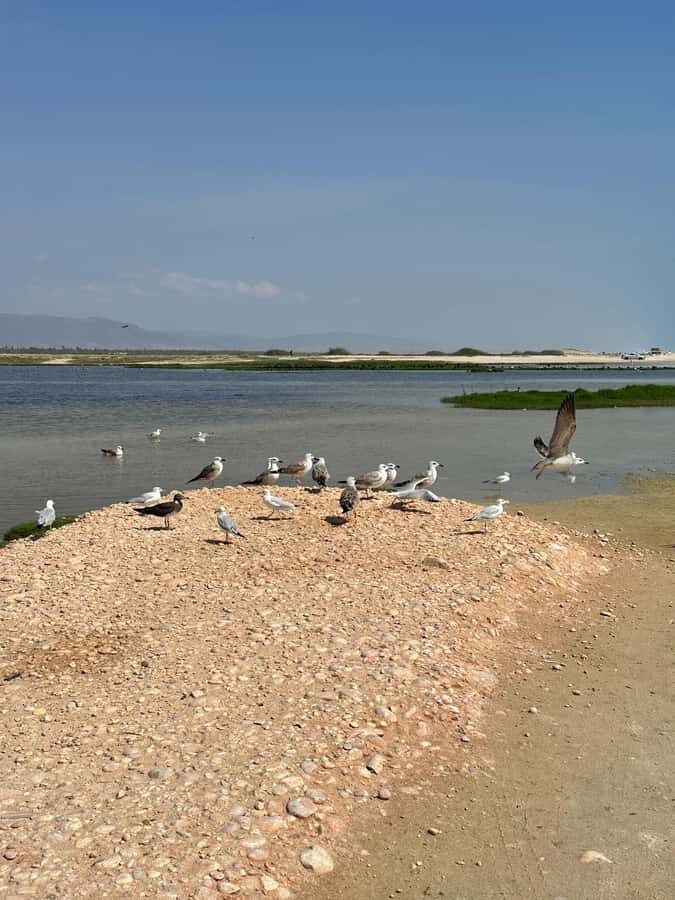 Salalah: Wadi Derbat, Jabal Samhan, & Sinkhole Private Tour - Taqah Village Beach Break and Taqah Castle Views