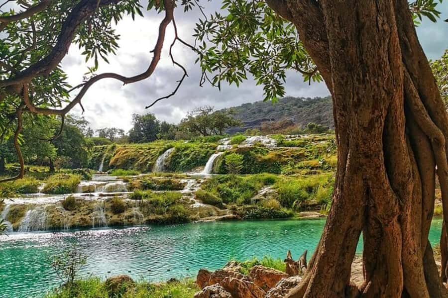 Salalah's Hidden Gems: East & West Adventure - Key points to know before you go