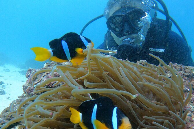 Scuba Diving in muscat - Al Seeb Port Check-In: The Part That Sets Your Tone