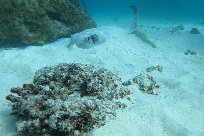 Scuba Diving in muscat - The Boat Transfer: Simple, Calm, and Built Into the Plan
