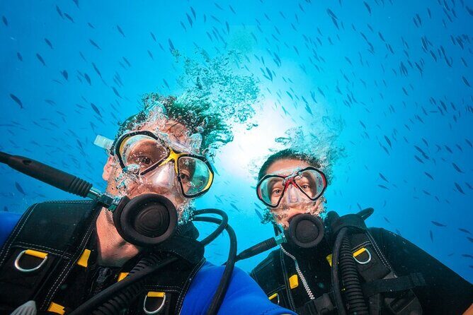 Scuba Diving to Dimaniyat Islands Muscat Oman - Who should book this Muscat-to-Dimaniyat trip?