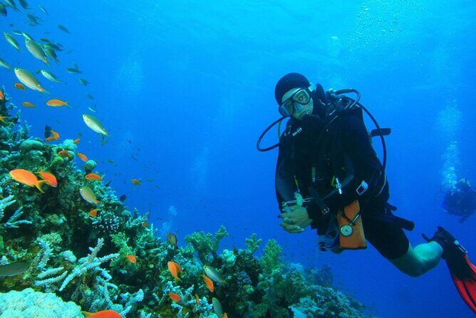 Scuba Diving to Dimaniyat Islands Muscat Oman - How the 5-hour plan works from Seeb (and what “about 20 minutes” really feels like)