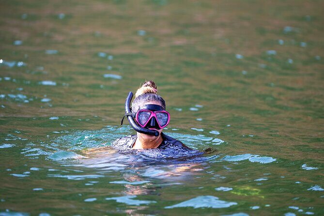 Sea Wonders Dolphin Watching and Snorkeling in Muscat - Meeting at HJJ4+G8 and the 10:00 AM Start (Plus the Mobile Ticket)