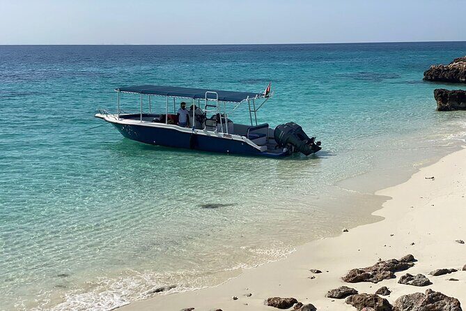 Snorkeling Adventure to Daymaniat Islands - Small-group feel: max 12 travelers and why that’s worth paying for
