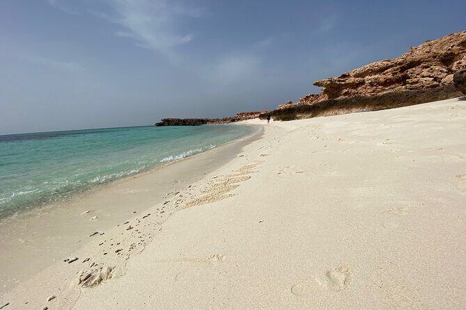 Snorkeling at Dimaniyat Islands and Dolphin Watching - How the 4–5 Hours Typically Flow on the Water