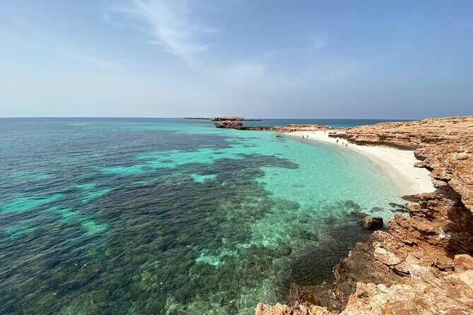 Snorkeling at Dimaniyat Islands and Dolphin Watching - Snorkeling Gear Included: Easy Mode, With One Backup Tip