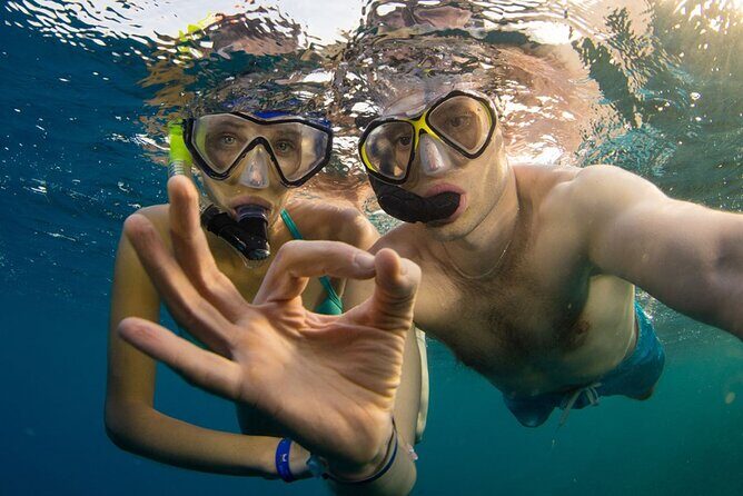 Snorkeling trips to Daymaniat Islands Sharing Trip - Entering the Nature Reserve: Why Daymaniyat Matters