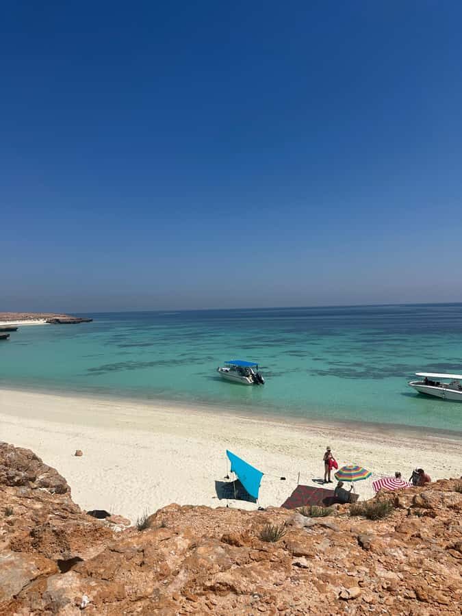 Snorkeling with turtles at Ad Daymaniyat Islands - Key Highlights to Know Before You Go