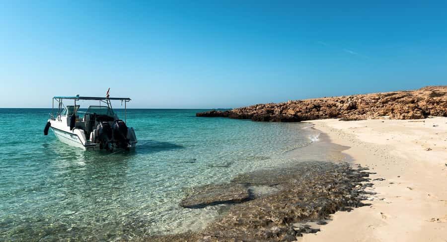 Snorkeling with turtles at Ad Daymaniyat Islands - Snorkeling Time: Coral Reefs, Fish, and Sea Turtle Encounters