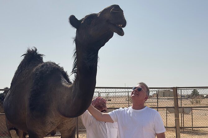 Sunset desert safari Salalah with Dinner in a Bedouins camp - Thumrait: the souk and farm life side of Dhofar