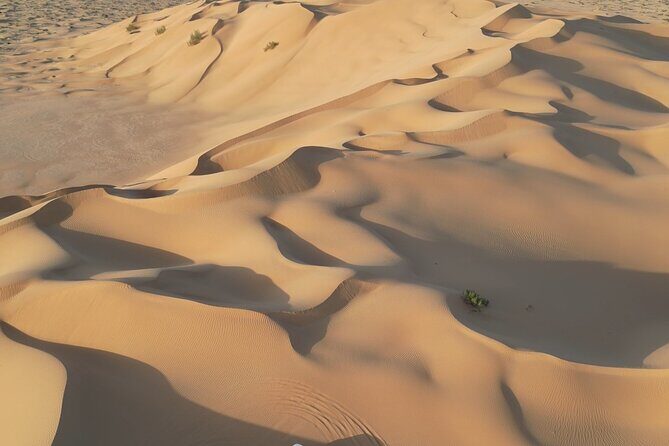 Sunset desert safari Salalah with Dinner in a Bedouins camp - Price and value: what $150 buys you (and what costs extra)