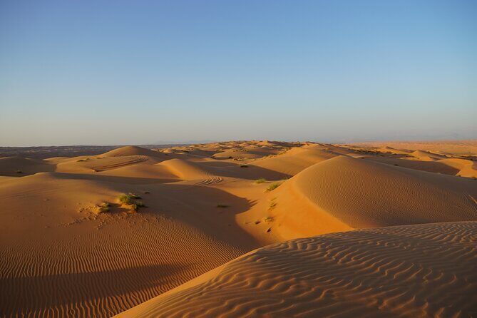 Sunset in Wahiba Sands 4x4 Adventure - Dune bashing and sand boarding: adrenaline with built-in viewing breaks