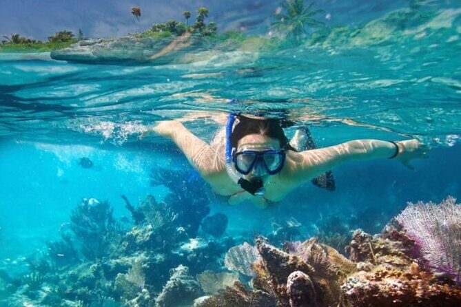The Jewel of Muscat Sea, Daymaniyat Islands - Daymaniyat Islands from Muscat: what kind of trip this really is