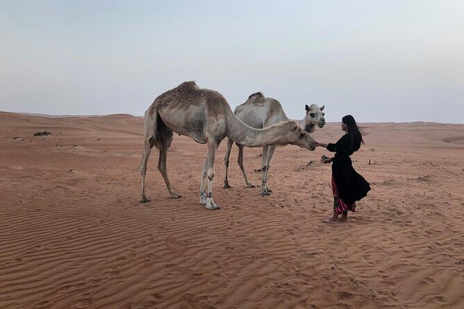 Tour Jawahir 2 Days-1 Night In Wahiba Sands, Oman Tours Package - Key highlights to know before you go